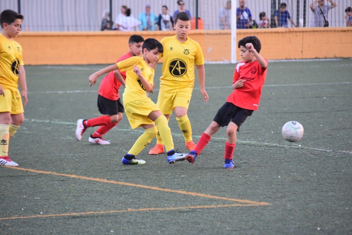 Las competiciones de la FFCE comienzan la temporada 19-20 a partir de mañana