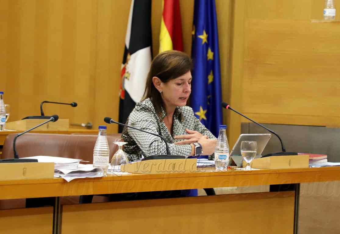 Mabel Deu, que ha señalado que según los datos aportados por la empresa encargada del servicio de limpieza viaria, el número de contenedores quemados asciende a 70