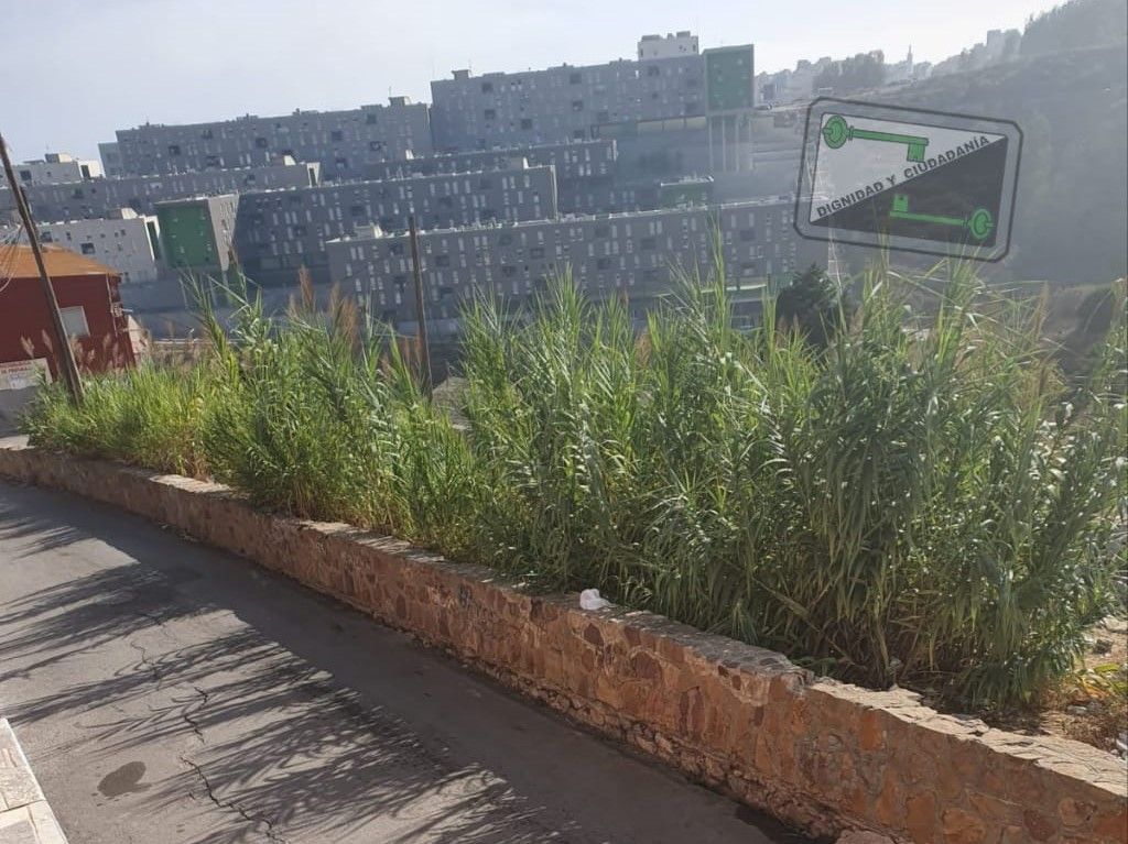 El MDyC denuncia numerosas deficiencias en el cementerio de Sidi Embarek