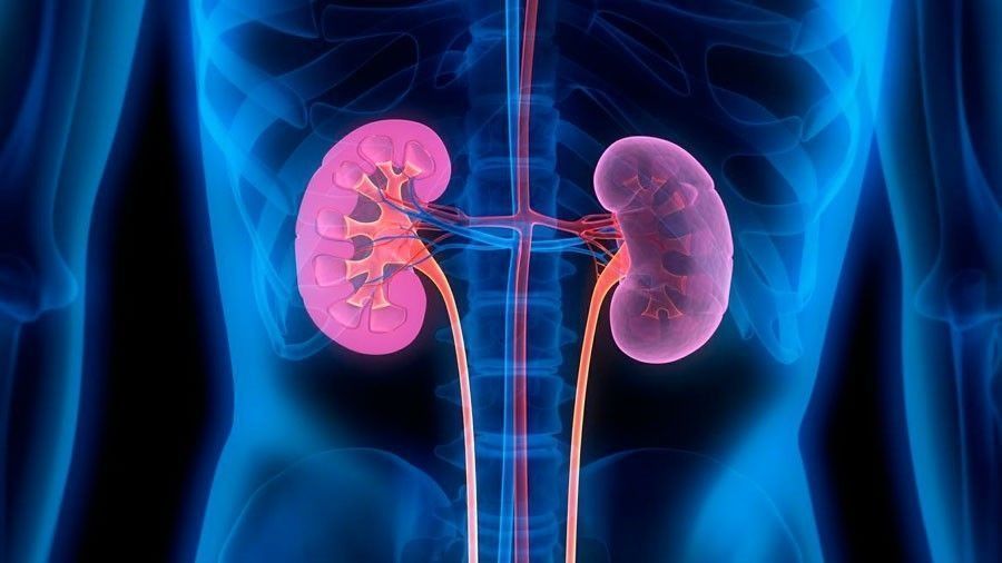 Ceuta y Melilla, las autonomías con menor prevalencia de la enfermedad renal crónica