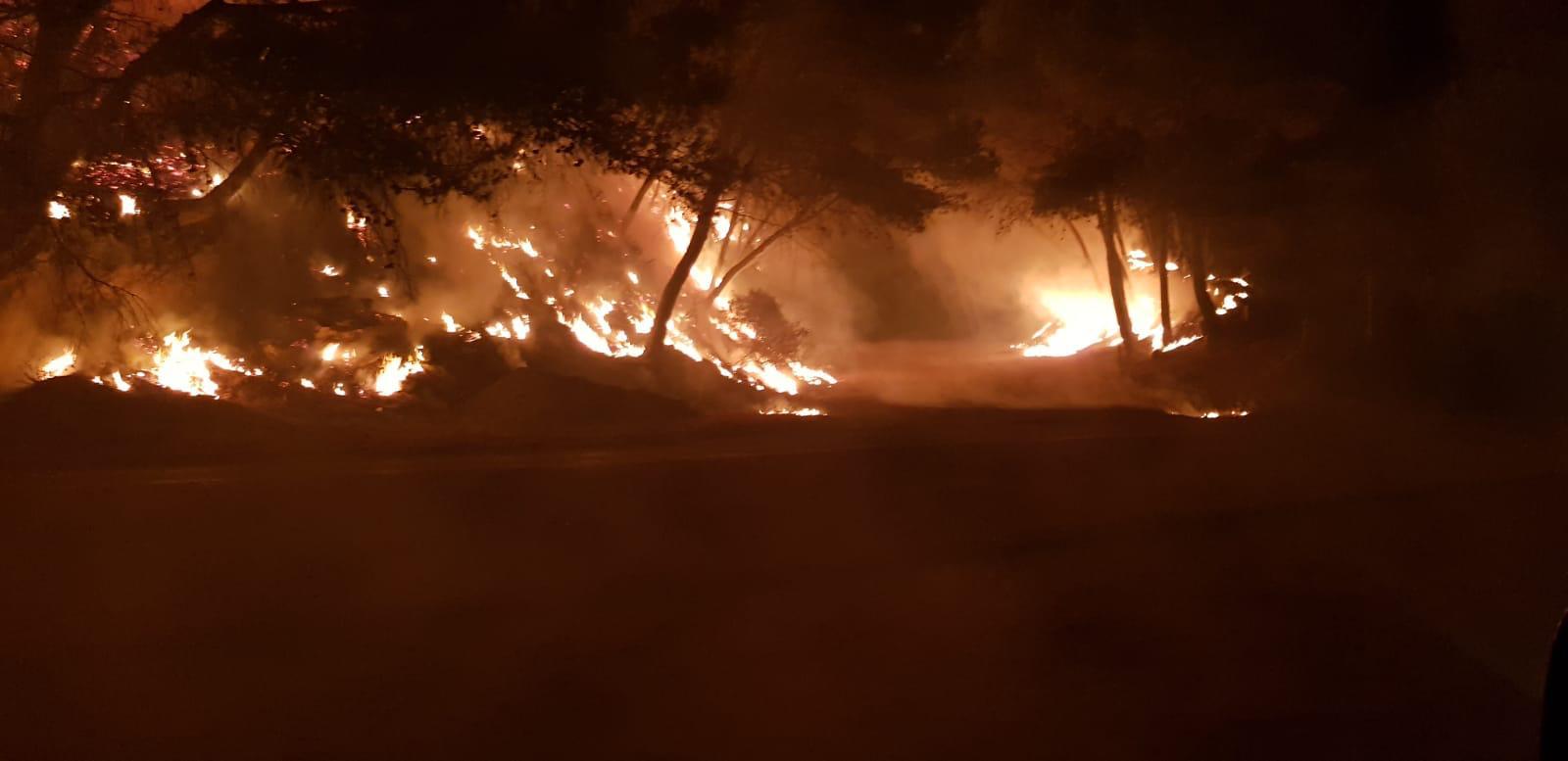 Vox espera que se esclarezca a la mayor celeridad las causas del incendio forestal