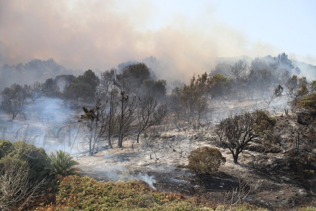 El incendio de Calamocarro está controlado por los bomberos