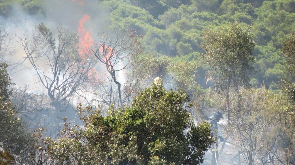 El incendio de Estepona y sus alrededores calcina ya más de 3.600 hectáreas y provoca la muerte de un bombero