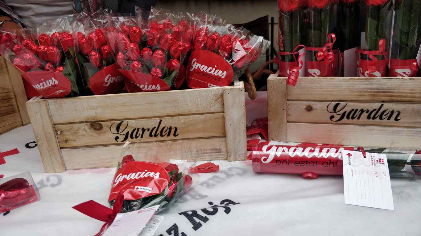 Cruz Roja Rosa solidaria valentin 07 02 4