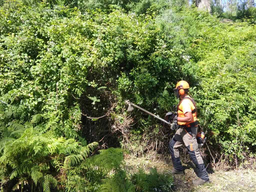 Obimasa ejecuta el plan de prevención de incendios forestales 2020