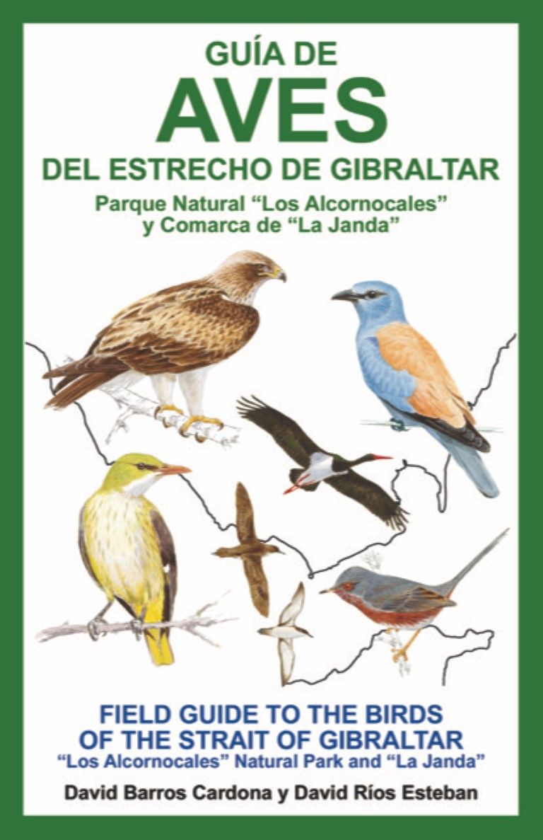 Reeditan una guía de aves de la zona del Estrecho de Gibraltar