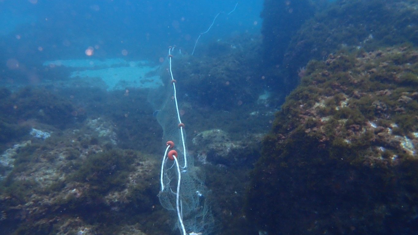 Las redes de pesca en los puertos, considerado una urgencia climática