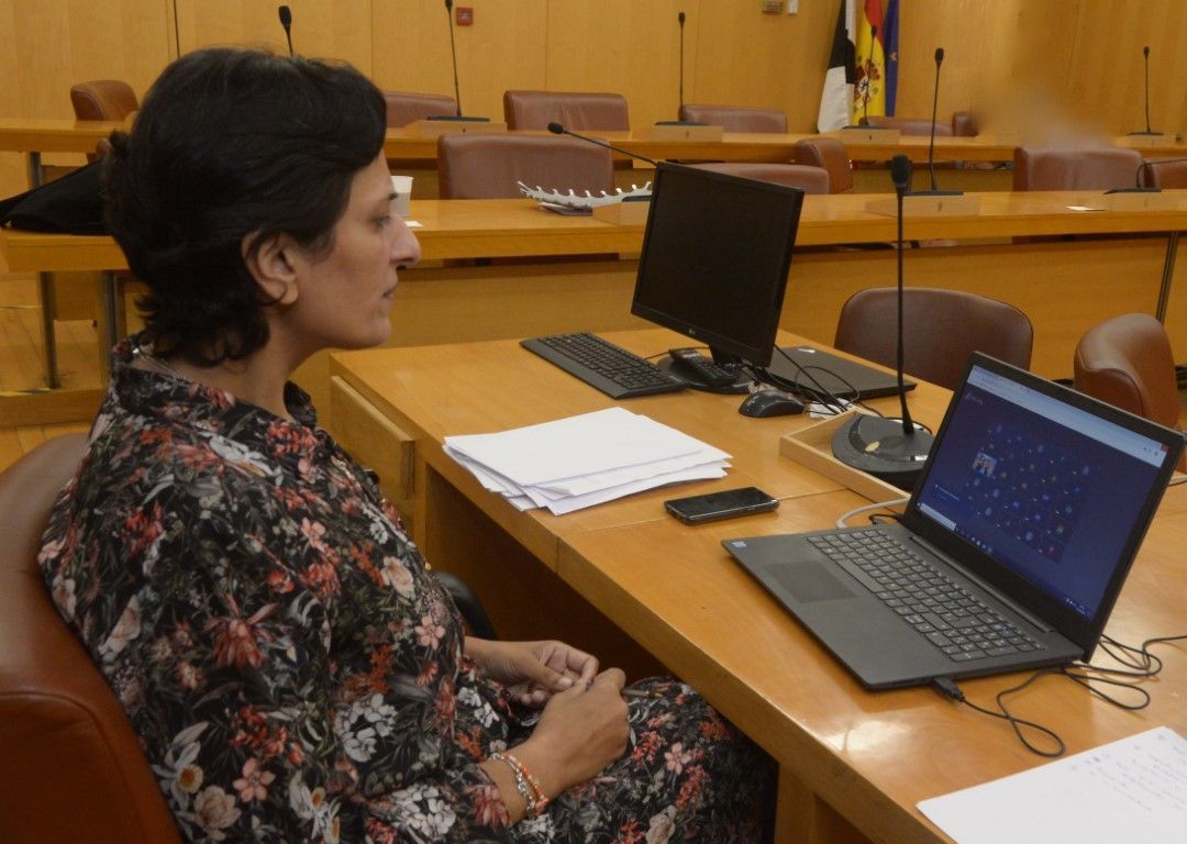 La consejera de Hacienda Kissy Chandirmani durante su intervención en el pleno celebrado telemáticamente