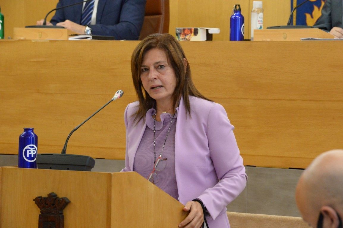 La Ciudad analiza el plan de reconversión “Por un futuro más estable y seguro para Ceuta”