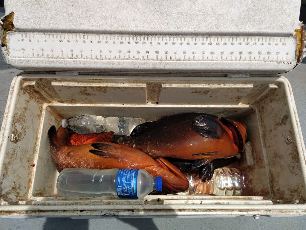 Dos denunciados por infringir la legislación de pesca marítima de recreo en las aguas de Ceuta
