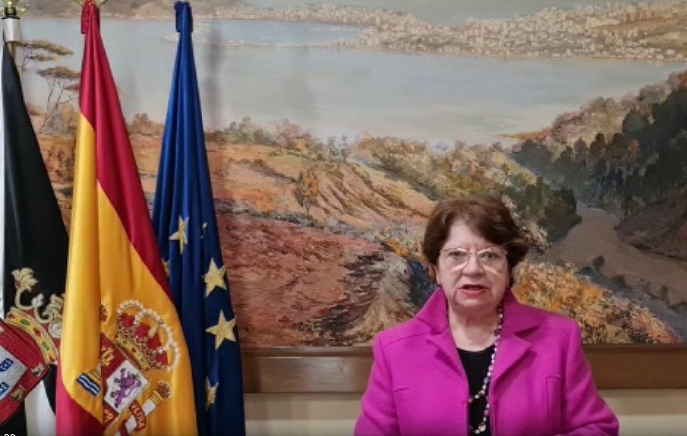 La delegada del Gobierno recuerda la pandemia del covid-19 en el Día de la Constitución 