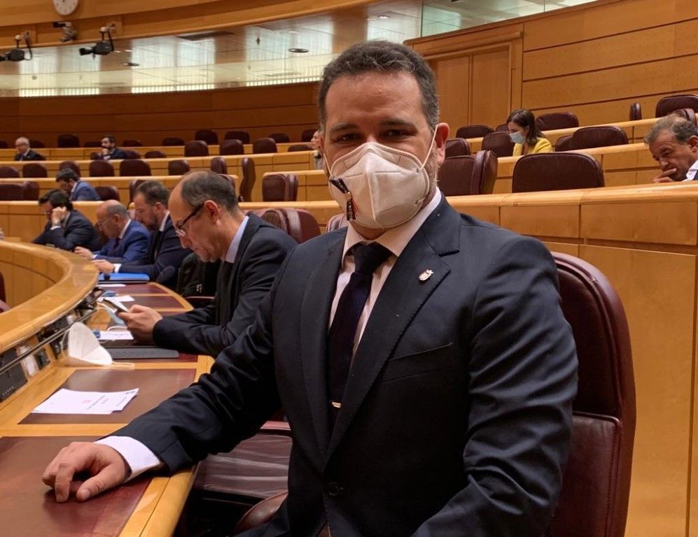 El senador del PP, David Muñoz, participa en el XI Pleno del Senado