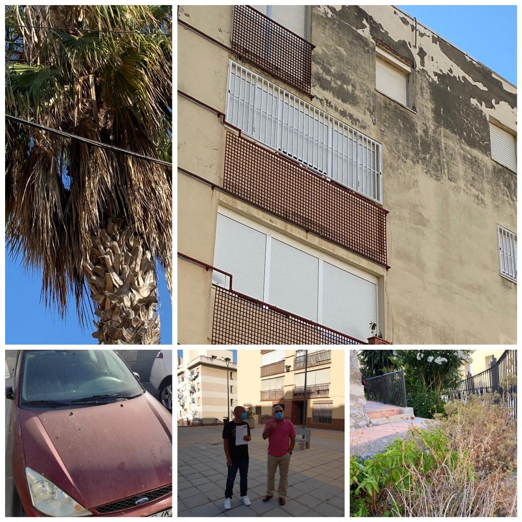 El PSOE denuncia la situación de la barriada de Miramar Alto
