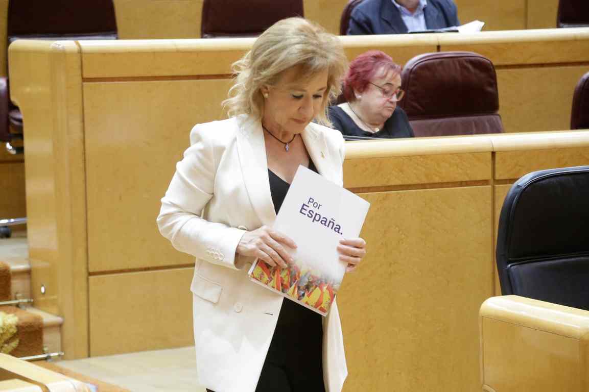 VOX solicita en el Senado la comparecencia urgente del ministro del Interior y del secretario de Estado de Seguridad