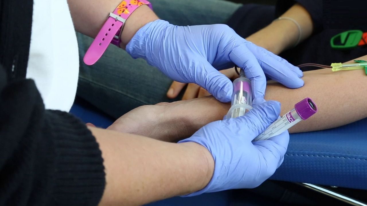 España supera el medio millón de donantes en el Registro de Donantes de Médula Ósea