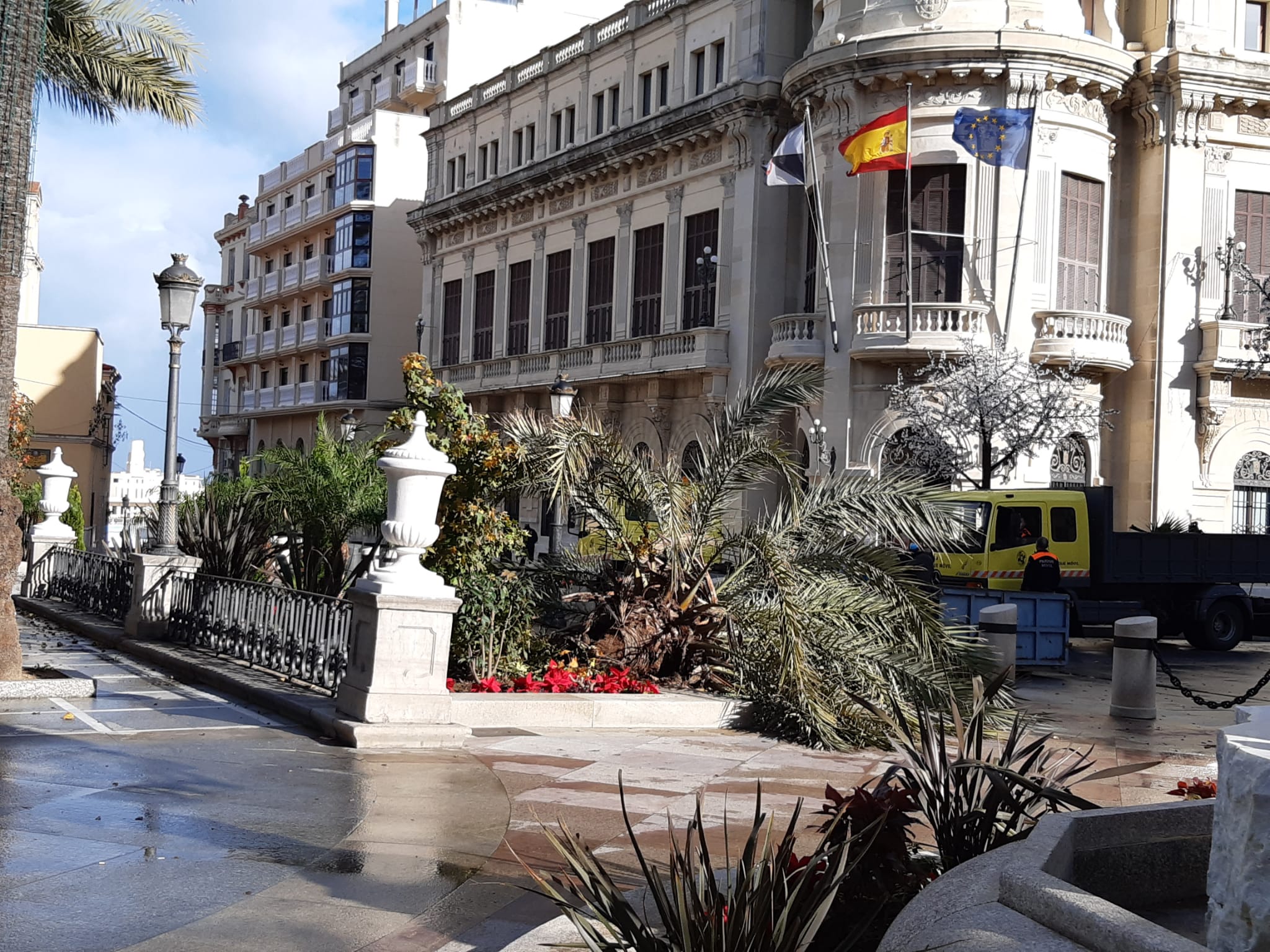 El fuerte viento arranca la parte superior de una de las palmeras de la Plaza de África