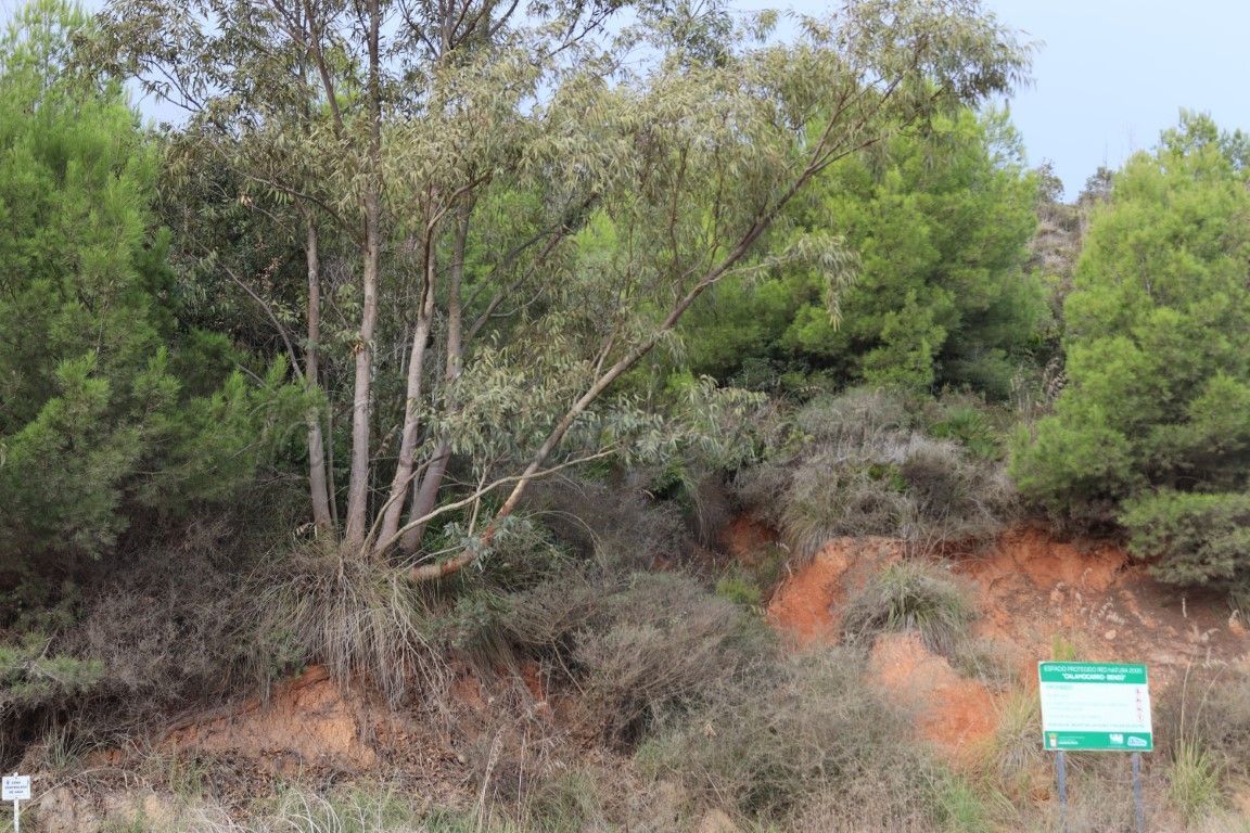Colectivos ceutíes recogen estos días datos sobre la basuraleza en cuatro zonas del monte