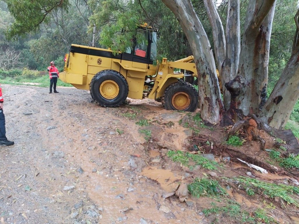 Medio Ambiente y Parque Móvil realizan actuaciones en la Protectora de Animales