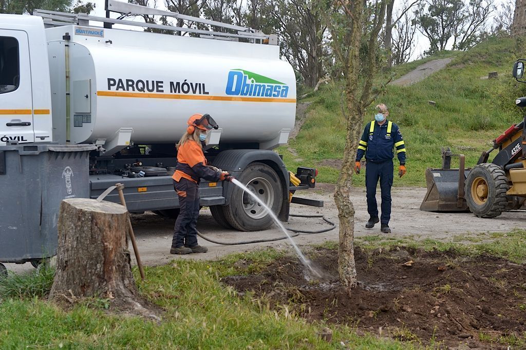 Realizan una repoblación en Aranguren para recuperar el bosque originario de alcornoques