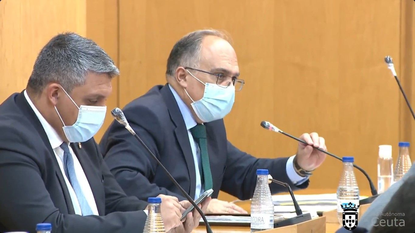 Gaitán recuerda al PSOE que la Ciudad lleva campañas de esterilización de gatos desde 2016