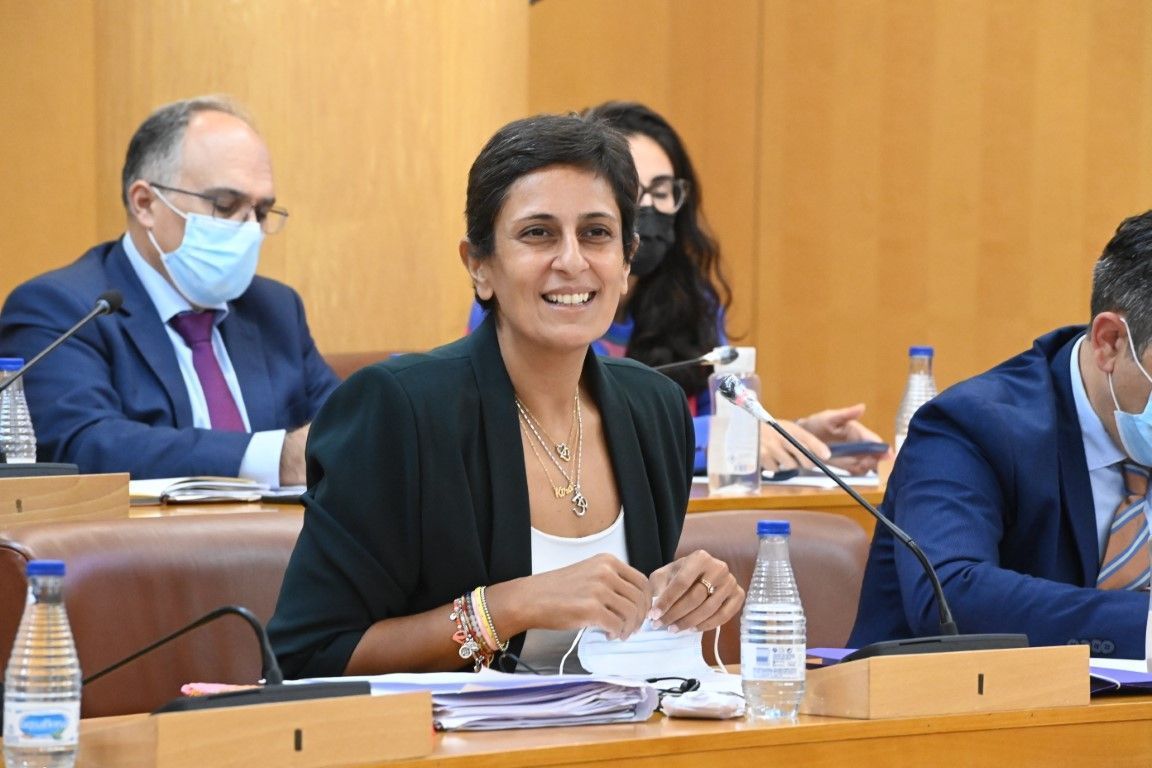 El Pleno de la Asamblea aprueba un plan extraordinario para la retirada de enseres de la calle