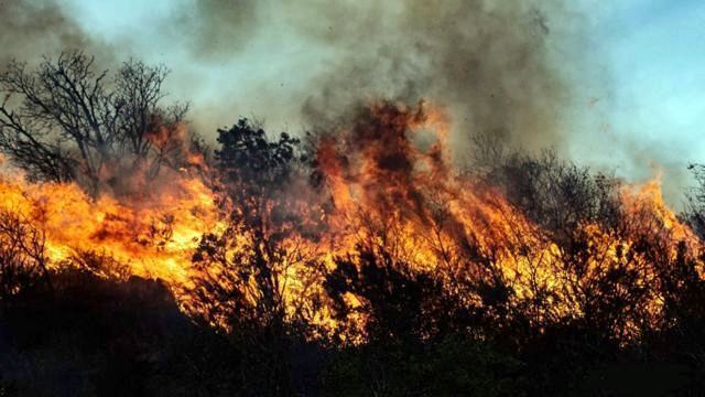 Las condiciones meteorológicas mejoran en el incendio de Estepona
