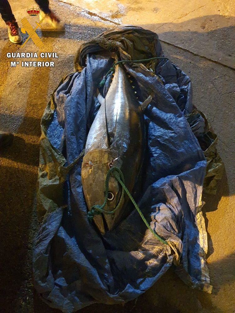 La Guardia Civil denuncia a 4 personas por pescar atunes en época de veda