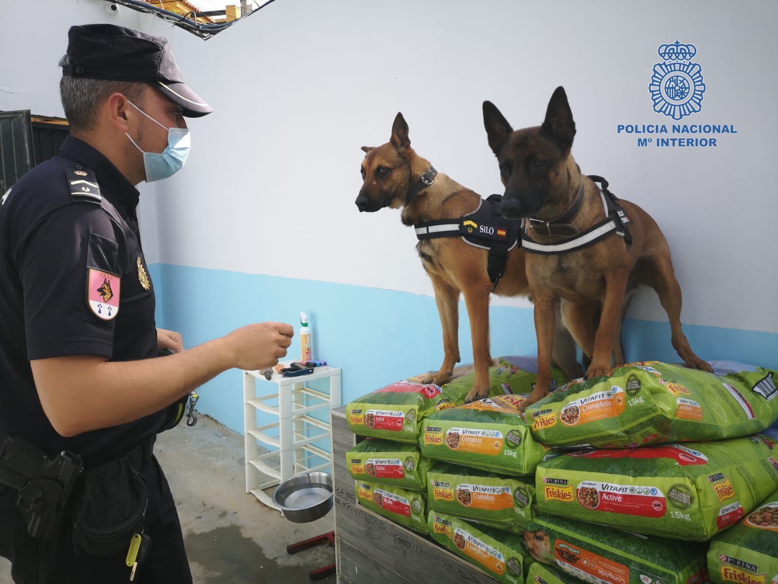 Los Guías Caninos de la Policía Nacional junto a la Carrera Solidaria "Ruta 091" colaboran con la Protectora de Animales Ceuta