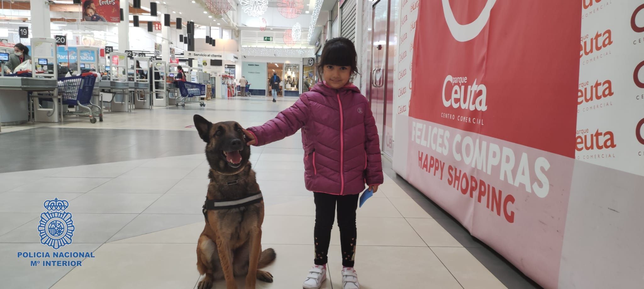 guias caninos 1