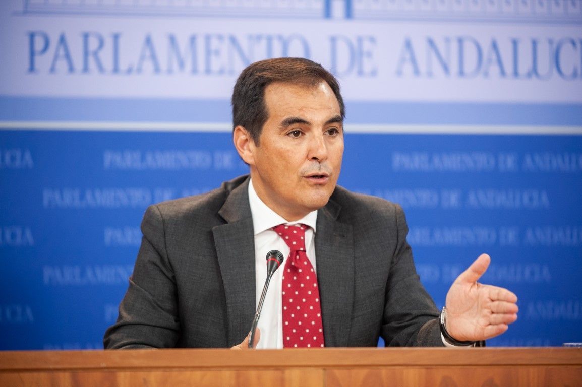El PP defiende la “mala salud de hierro” de su relación con Vox en Andalucía