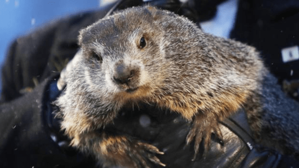 Mañana es el Día de la Marmota: ¿Cómo será la primavera?