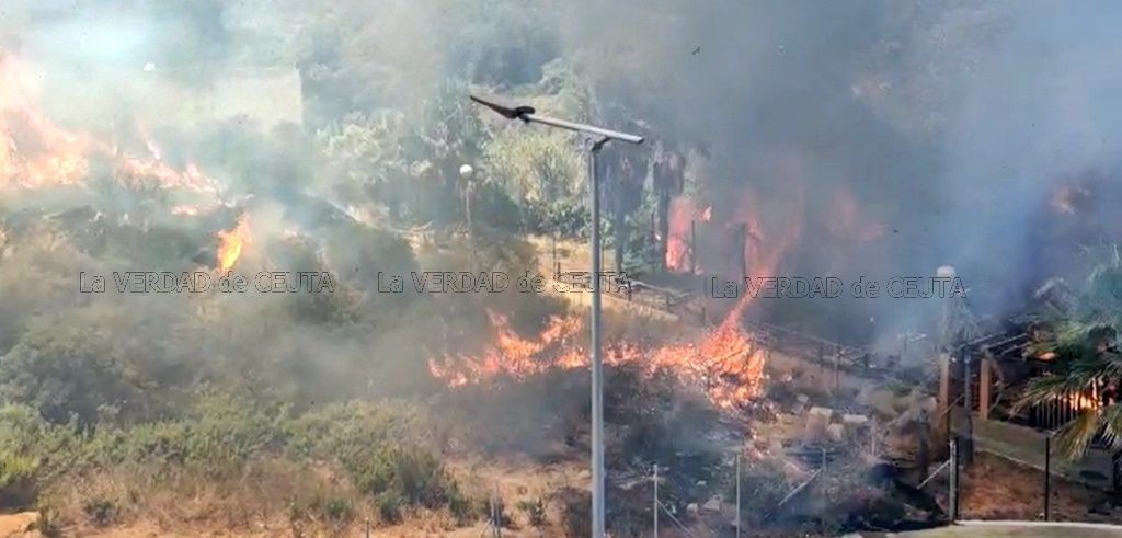 VIDEO: Incendio controlado en la urbanización La Colina