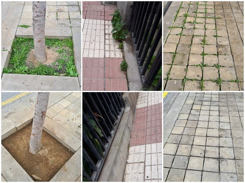 TRACE realiza labores de eliminación de malas hierbas en el acerado público