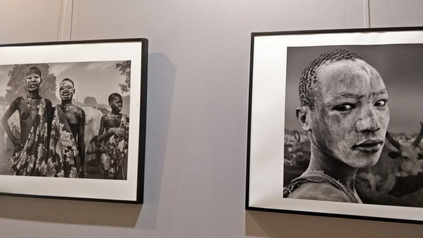 La Sala de Exposiciones del Revellín acoge desde este lunes la exposición 'Nilo Blanco'