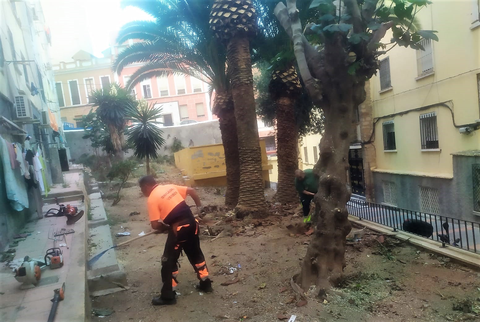 Brigadas Verdes inicia las labores de limpieza de las zonas ajardinadas de los Grupos Alfau