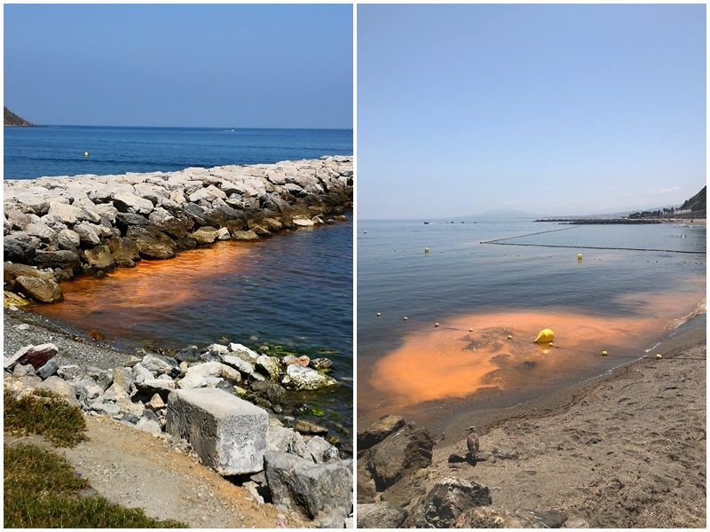 Las playas de Ceuta, de color naranja por la aparición de un organismo denominado “Noctilucas”
