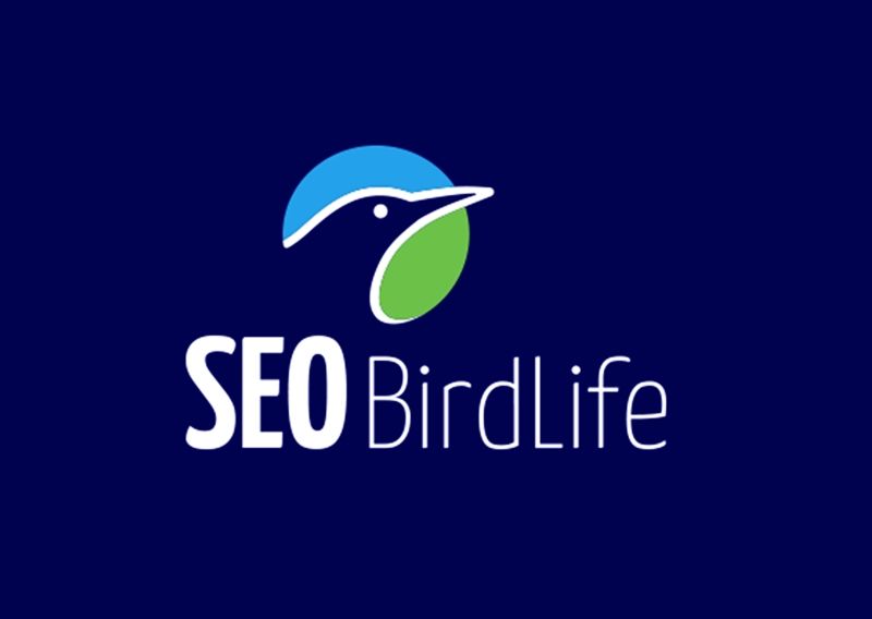 SEO/BirdLife alerta de la desaparición paulatina de lugares de nidificación por la rehabilitación de edificios