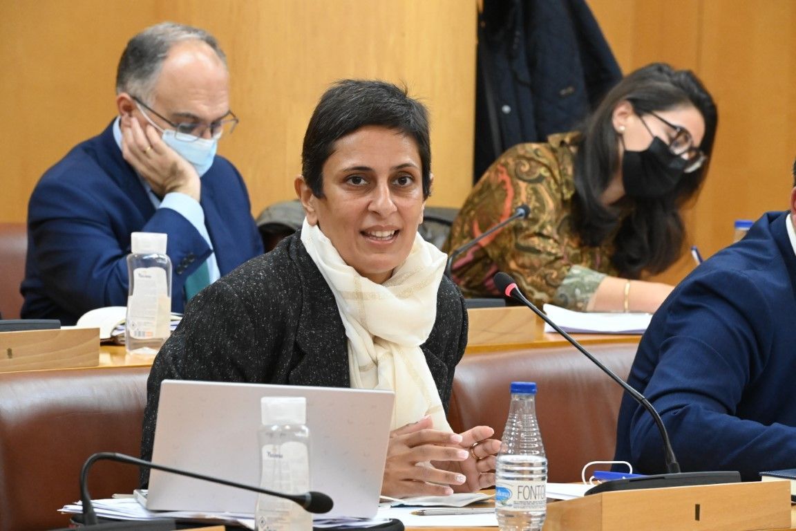 El Pleno tumba “otra incongruencia más presentada por Vox”, según Chandiramani