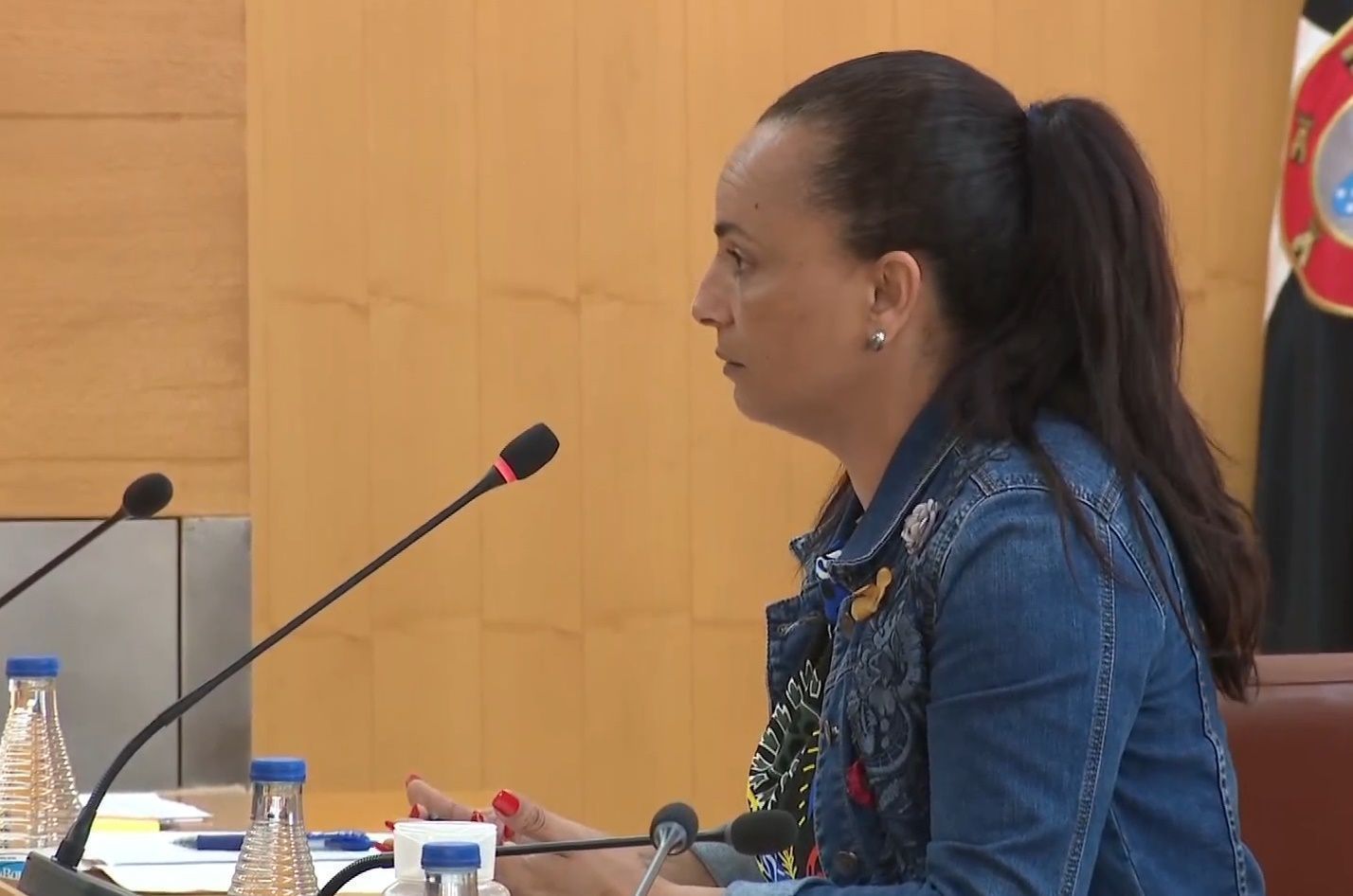 El PSOE interpelará a la Ciudad por las medidas del Pacto de Estado contra la Violencia de Género