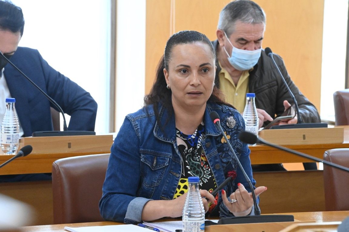 El PSOE solicita a la consejera de Servicios Sociales que deje de mentir y de distorsionar la realidad