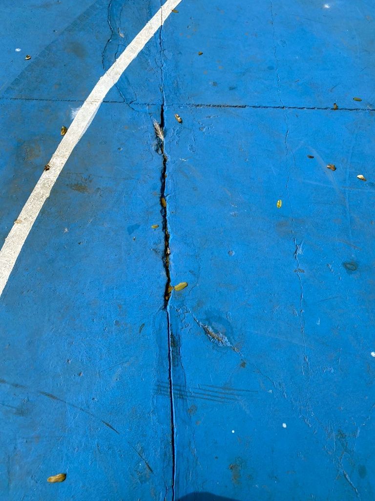 El PSOE denuncia la falta de limpieza, las grietas y los boquetes que presentan las pistas deportivas del Parque Urbano Juan Carlos I 