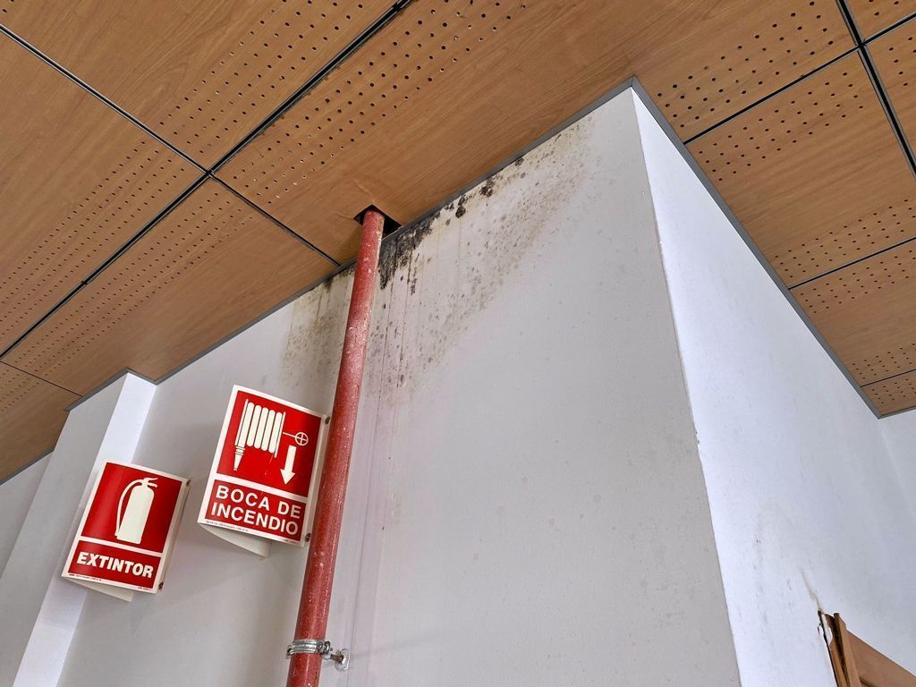 deficiencias uned psoe 2