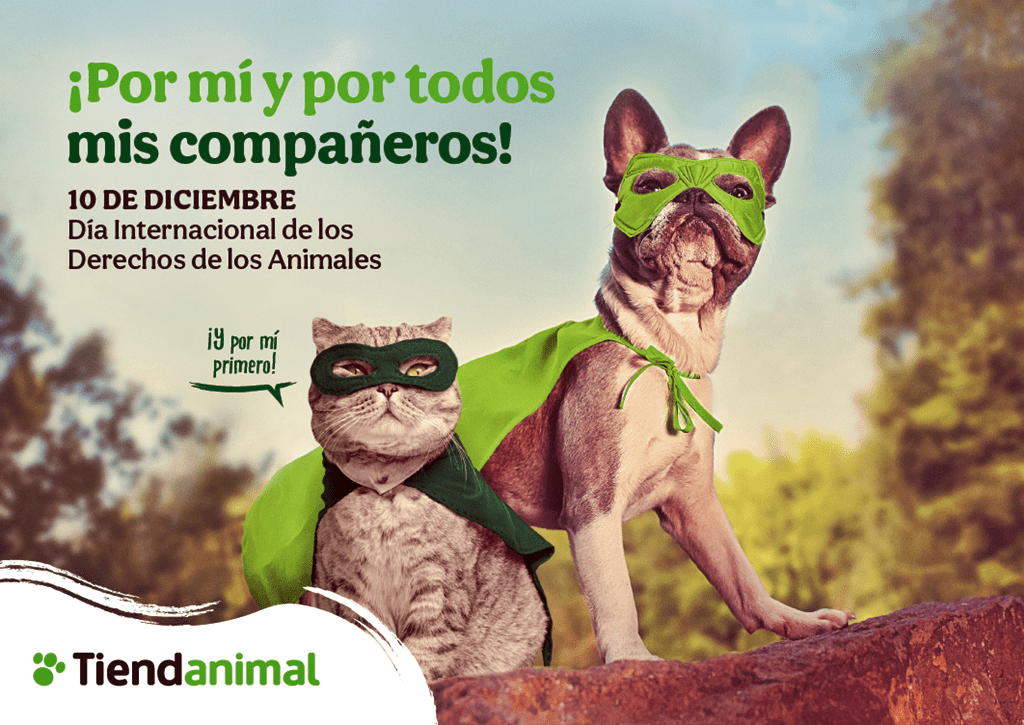 ¿Sabes cómo puedes promover los derechos de los animales en tu día a día?