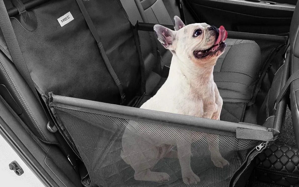 Medidas de seguridad para las mascotas y personas en el interior de un vehículo 