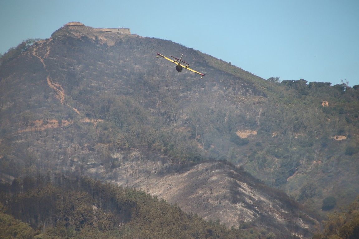 MDyC también interpelará sobre el último incendio forestal sufrido por la ciudad