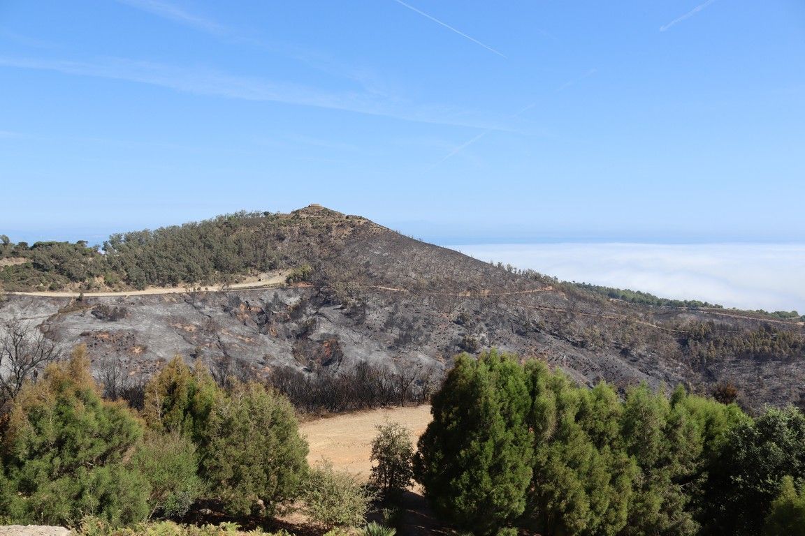 Ceuta Avanza: “los incendios forestales se apagan en invierno”