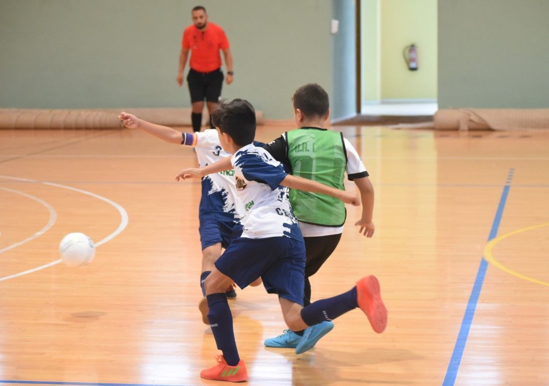 Así será la Copa Autonómica en Benjamín Fútbol 8, Alevín Sala e Infantil Sala