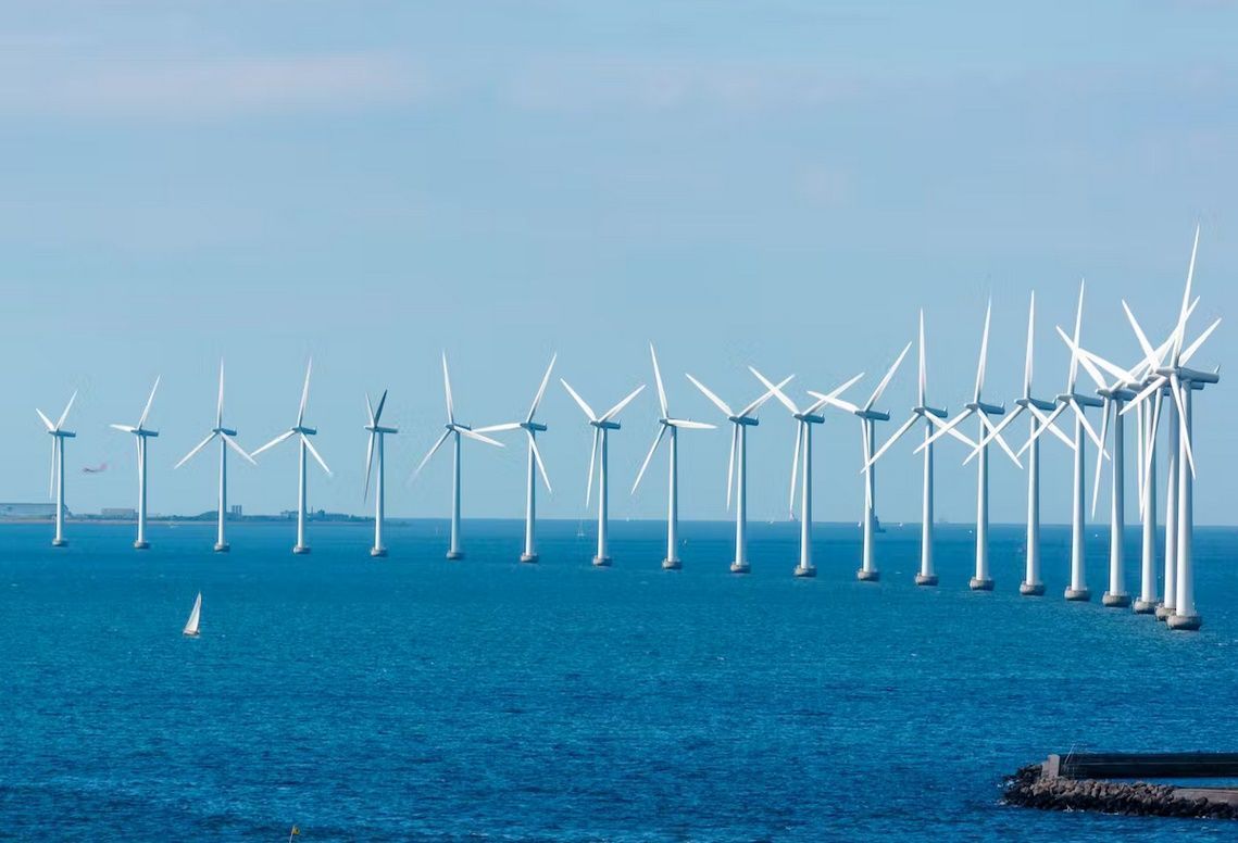 SEO reclama que la eólica marina no ponga en riesgo la biodiversidad en el mar