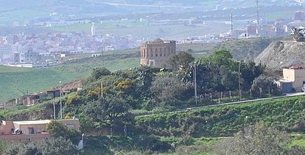 Un estudio concluye que la configuración de las zonas verdes de las ciudades determinar las características de sus aves