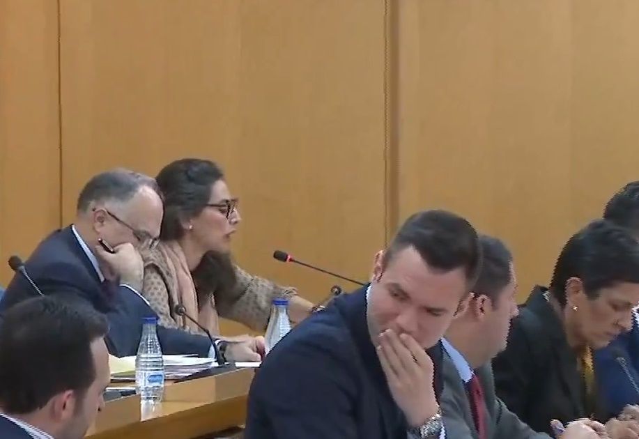 La mayor parte de la Asamblea apoya el nuevo reglamento de ayudas al alquiler de viviendas y alojamiento alternativo